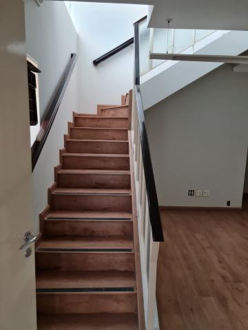 Alugar Comercial / Casa Comercial em S&atilde;o Jos&eacute; do Rio Preto R$ 5.500,00 - Foto 4