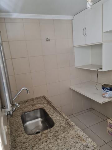 Alugar Comercial / Casa Comercial em S&atilde;o Jos&eacute; do Rio Preto R$ 5.500,00 - Foto 25