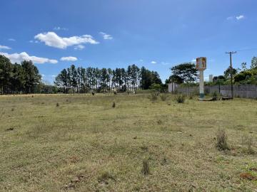 Comprar Terreno / &Aacute;rea em S&atilde;o Jos&eacute; do Rio Preto - Foto 2