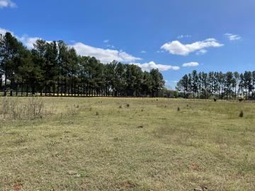 Comprar Terreno / &Aacute;rea em S&atilde;o Jos&eacute; do Rio Preto - Foto 3