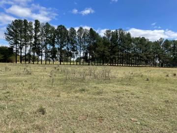 Comprar Terreno / &Aacute;rea em S&atilde;o Jos&eacute; do Rio Preto - Foto 4