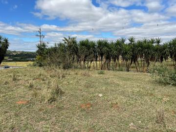Comprar Terreno / &Aacute;rea em S&atilde;o Jos&eacute; do Rio Preto - Foto 5