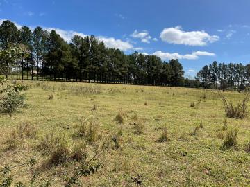 Comprar Terreno / &Aacute;rea em S&atilde;o Jos&eacute; do Rio Preto - Foto 7