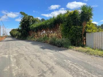 Comprar Terreno / &Aacute;rea em S&atilde;o Jos&eacute; do Rio Preto - Foto 11