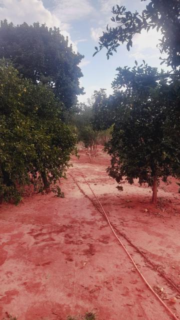 Alugar Rural / Ch&aacute;cara em Guapia&ccedil;u R$ 2.200,00 - Foto 20