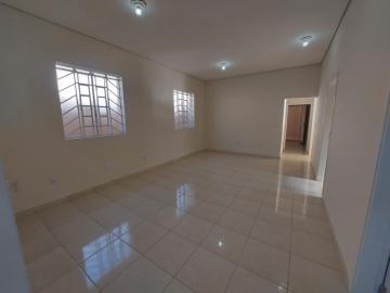 Comercial / Casa Comercial em S&atilde;o Jos&eacute; do Rio Preto 