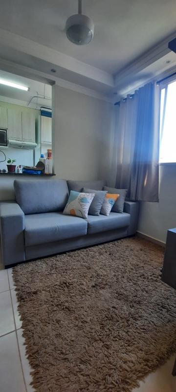 Alugar Apartamento / Padr&atilde;o em S&atilde;o Jos&eacute; do Rio Preto R$ 650,00 - Foto 3