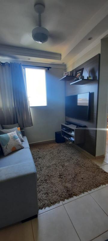 Alugar Apartamento / Padr&atilde;o em S&atilde;o Jos&eacute; do Rio Preto R$ 650,00 - Foto 5