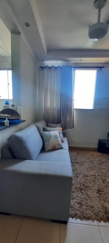 Alugar Apartamento / Padr&atilde;o em S&atilde;o Jos&eacute; do Rio Preto R$ 650,00 - Foto 4