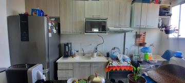 Alugar Apartamento / Padr&atilde;o em S&atilde;o Jos&eacute; do Rio Preto R$ 650,00 - Foto 8