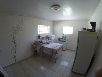 Alugar Comercial / Sala em S&atilde;o Jos&eacute; do Rio Preto R$ 600,00 - Foto 5
