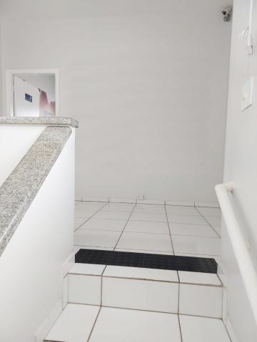 Comprar Comercial / Sal&atilde;o em S&atilde;o Jos&eacute; do Rio Preto R$ 1.200.000,00 - Foto 7