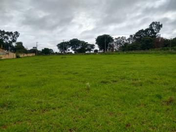 Terreno / &Aacute;rea em S&atilde;o Jos&eacute; do Rio Preto 