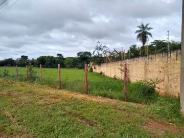 Alugar Terreno / &Aacute;rea em S&atilde;o Jos&eacute; do Rio Preto R$ 11.000,00 - Foto 3