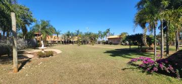 Comprar Rural / Ch&aacute;cara em S&atilde;o Jos&eacute; do Rio Preto R$ 3.500.000,00 - Foto 57