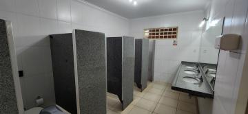 Comprar Rural / Ch&aacute;cara em S&atilde;o Jos&eacute; do Rio Preto R$ 3.500.000,00 - Foto 67