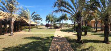 Comprar Rural / Ch&aacute;cara em S&atilde;o Jos&eacute; do Rio Preto R$ 3.500.000,00 - Foto 61