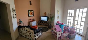 Comprar Rural / Ch&aacute;cara em S&atilde;o Jos&eacute; do Rio Preto R$ 3.500.000,00 - Foto 8