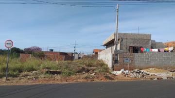 Terreno / Padr&atilde;o em S&atilde;o Jos&eacute; do Rio Preto 
