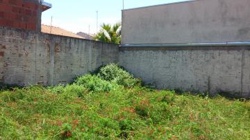 Alugar Casa / Padr&atilde;o em S&atilde;o Jos&eacute; do Rio Preto. apenas R$ 250.000,00