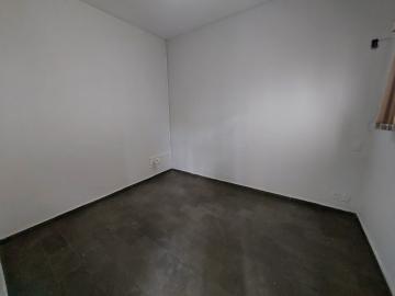 Comercial / Sal&atilde;o em S&atilde;o Jos&eacute; do Rio Preto 
