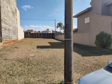 Comprar Terreno / Condom&iacute;nio em S&atilde;o Jos&eacute; do Rio Preto R$ 650.000,00 - Foto 2