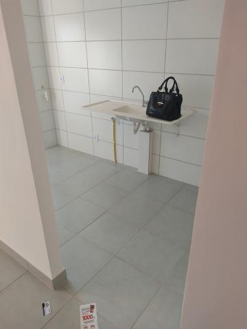 Alugar Apartamento / Padr&atilde;o em S&atilde;o Jos&eacute; do Rio Preto R$ 1.000,00 - Foto 4