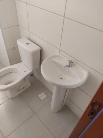 Alugar Apartamento / Padr&atilde;o em S&atilde;o Jos&eacute; do Rio Preto R$ 1.000,00 - Foto 9