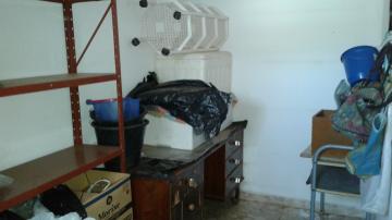 Alugar Casa / Padr&atilde;o em S&atilde;o Jos&eacute; do Rio Preto R$ 2.600,00 - Foto 17