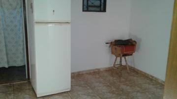 Alugar Casa / Padr&atilde;o em S&atilde;o Jos&eacute; do Rio Preto R$ 2.600,00 - Foto 18