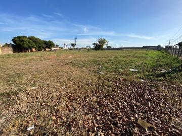 Terreno / Padr&atilde;o em S&atilde;o Jos&eacute; do Rio Preto 