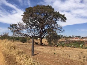 Comprar Terreno / &Aacute;rea em Guapia&ccedil;u R$ 36.300.000,00 - Foto 5