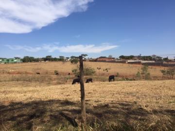 Comprar Terreno / &Aacute;rea em Guapia&ccedil;u R$ 36.300.000,00 - Foto 8