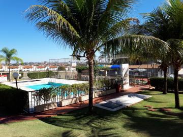 Alugar Apartamento / Padr&atilde;o em S&atilde;o Jos&eacute; do Rio Preto. apenas R$ 240.000,00