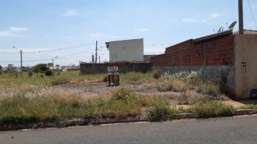 Terreno / Padr&atilde;o em S&atilde;o Jos&eacute; do Rio Preto 
