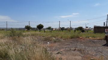 Alugar Terreno / Padr&atilde;o em S&atilde;o Jos&eacute; do Rio Preto R$ 3.000,00 - Foto 2