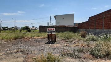 Alugar Terreno / Padr&atilde;o em S&atilde;o Jos&eacute; do Rio Preto R$ 3.000,00 - Foto 3