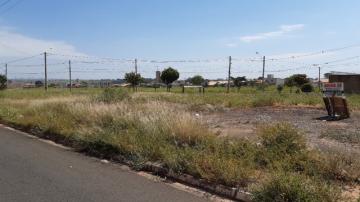 Alugar Terreno / Padr&atilde;o em S&atilde;o Jos&eacute; do Rio Preto R$ 3.000,00 - Foto 5