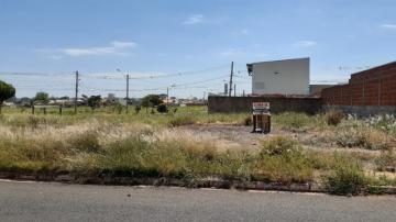 Alugar Terreno / Padr&atilde;o em S&atilde;o Jos&eacute; do Rio Preto R$ 3.000,00 - Foto 6