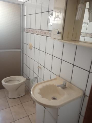 Alugar Apartamento / Padr&atilde;o em S&atilde;o Jos&eacute; do Rio Preto R$ 800,00 - Foto 3