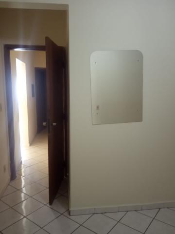 Alugar Apartamento / Padr&atilde;o em S&atilde;o Jos&eacute; do Rio Preto R$ 800,00 - Foto 9