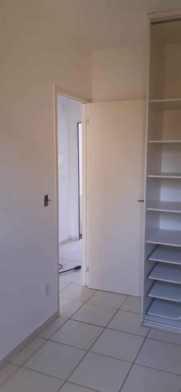 Alugar Casa / Condom&iacute;nio em S&atilde;o Jos&eacute; do Rio Preto R$ 1.100,00 - Foto 15