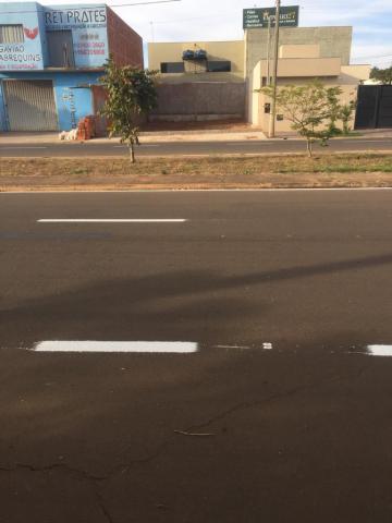Alugar Terreno / Padr&atilde;o em S&atilde;o Jos&eacute; do Rio Preto R$ 950,00 - Foto 3