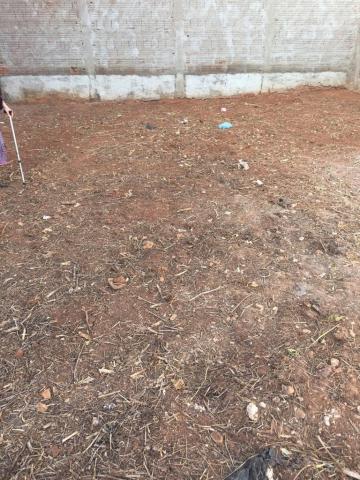 Alugar Terreno / Padr&atilde;o em S&atilde;o Jos&eacute; do Rio Preto R$ 950,00 - Foto 4