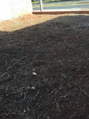 Alugar Terreno / Padr&atilde;o em S&atilde;o Jos&eacute; do Rio Preto R$ 950,00 - Foto 5