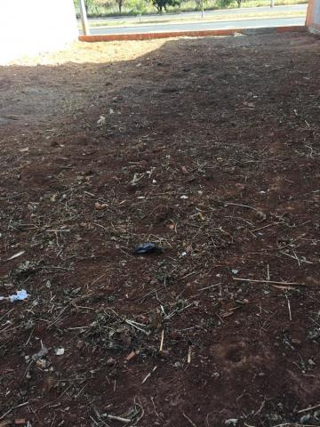 Alugar Terreno / Padr&atilde;o em S&atilde;o Jos&eacute; do Rio Preto R$ 950,00 - Foto 6