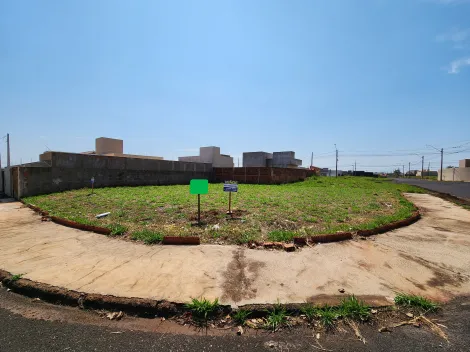 Alugar Terreno / Padr&atilde;o em S&atilde;o Jos&eacute; do Rio Preto. apenas R$ 120.000,00