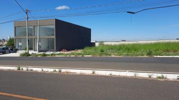 Terreno / Padr&atilde;o em S&atilde;o Jos&eacute; do Rio Preto 