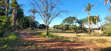 Comprar Rural / S&iacute;tio em Ipigu&aacute; R$ 2.000.000,00 - Foto 2