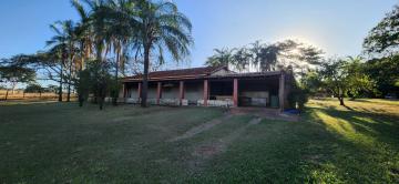 Comprar Rural / S&iacute;tio em Ipigu&aacute; R$ 2.000.000,00 - Foto 5